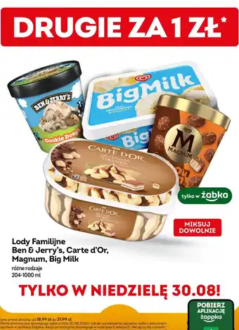 Lody Familijne Ben & Jerry's, Carte d'Or, Magnum, Big Milk