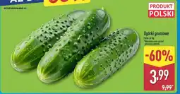 ALDI Ogórki gruntowe oferta