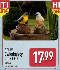 ALDI BELAVI Ćwierkający ptak LED oferta