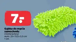 Netto Gąbka do mycia samochodu oferta
