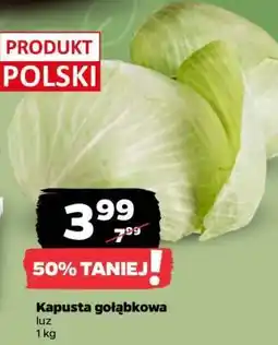 Netto Kapusta gołąbkowa oferta