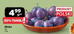 Netto Śliwka luz oferta