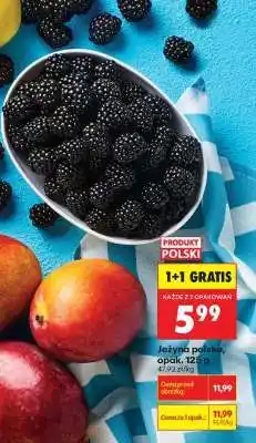 Biedronka Jeżyna polska, opak. 125 g oferta