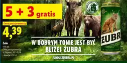 Lidl Żubr oferta