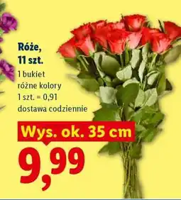 Lidl Róże, 11 szt oferta