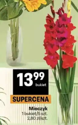 Delikatesy Centrum Mieczyk oferta