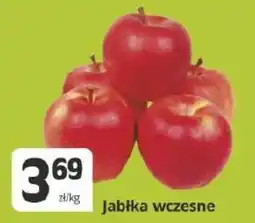 Marketvita Jabłka wczesne oferta