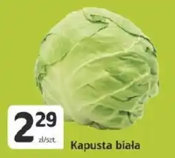 Marketvita Kapusta biała oferta