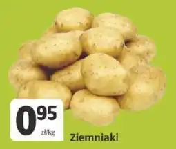 Marketvita Ziemniaki oferta