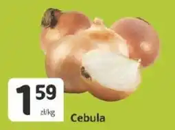 Marketvita Cebula oferta