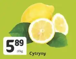 Marketvita Cytryny oferta