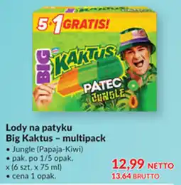Makro Lody na patyku Big Kaktus - multipack oferta