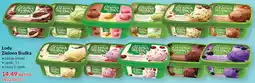 Makro Lody Zielona Budka oferta