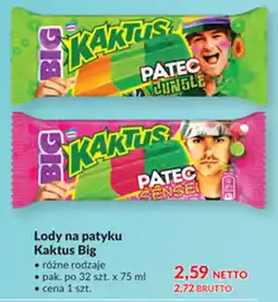 Makro Lody na patyku Kaktus Big oferta