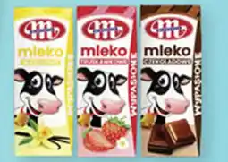 Makro Mleko Wypasione oferta