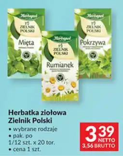 Makro Herbatka ziołowa Zielnik Polski oferta