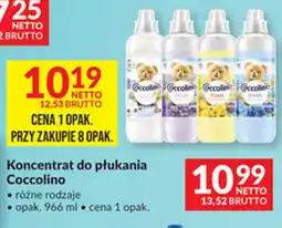 Makro Koncentrat do płukania Coccolino oferta
