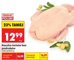 Biedronka Kaczka świeża bez podrobów oferta