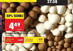 Biedronka Grzyby K! oferta