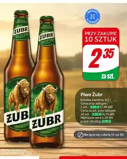 Dino Piwo Żubr oferta