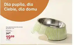 Rossmann Metalowa miska dla zwierząt Eloy oferta