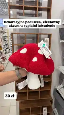 Pepco Poduszka dekoracyjna Muchomor oferta