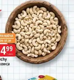 E.Leclerc Czekolada bez laktozy oferta