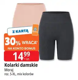 E.Leclerc Kolarki damskie s-xl Moraj oferta