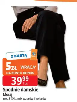 E.Leclerc Spodnie damskie s-3xl Moraj oferta
