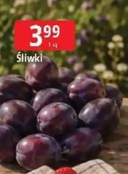 E.Leclerc Śliwki oferta