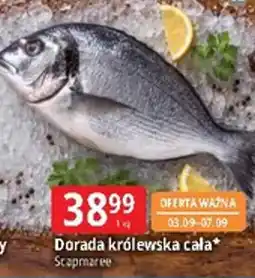E.Leclerc Dorada królewska cała* Scapmaree oferta