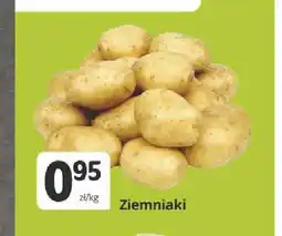 Marketvita Ziemniaki oferta