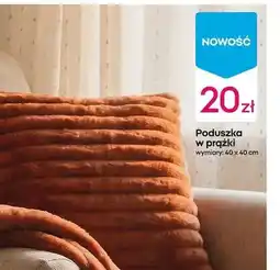 Pepco Poduszka oferta