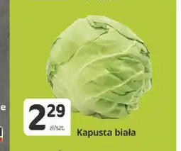 Marketvita Kapusta biała oferta