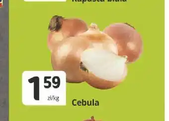 Marketvita Cebula oferta