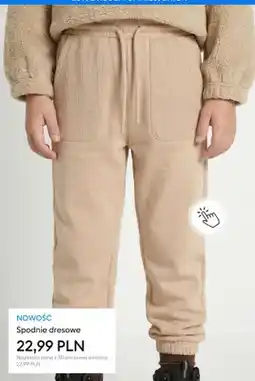 Sinsay Spodnie dresowe oferta