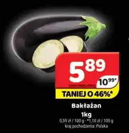 Delfin Bakłażany polskie oferta