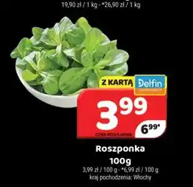 Delfin Roszponka oferta