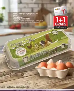 Market Point Jajka kurze z wolnego wybiegu Fermy Baran oferta