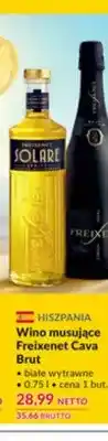 Makro Wino musujące Freixenet Cava Brut białe wytrawne oferta