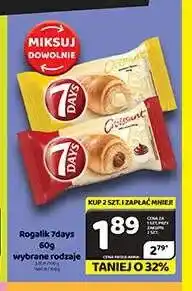 Delfin Rogalik 7Days oferta