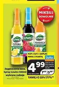 Delfin Syrop Łowicz oferta