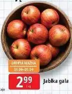 E.Leclerc Jabłka gala oferta
