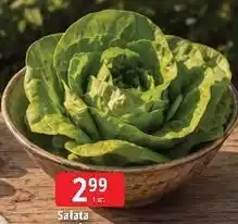 E.Leclerc Sałata masłowa oferta