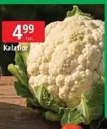 E.Leclerc Kalafior oferta