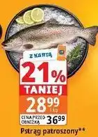 E.Leclerc Pstrąg patroszony oferta