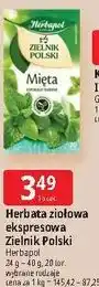 E.Leclerc Herbata ziołowa ekspresowa Zielnik Polski Herbapol oferta