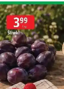 E.Leclerc Śliwki oferta