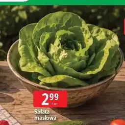 E.Leclerc Sałata masłowa oferta