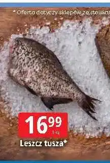 E.Leclerc Leszcz tusza oferta